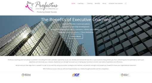Profectus Coaching & Consulting